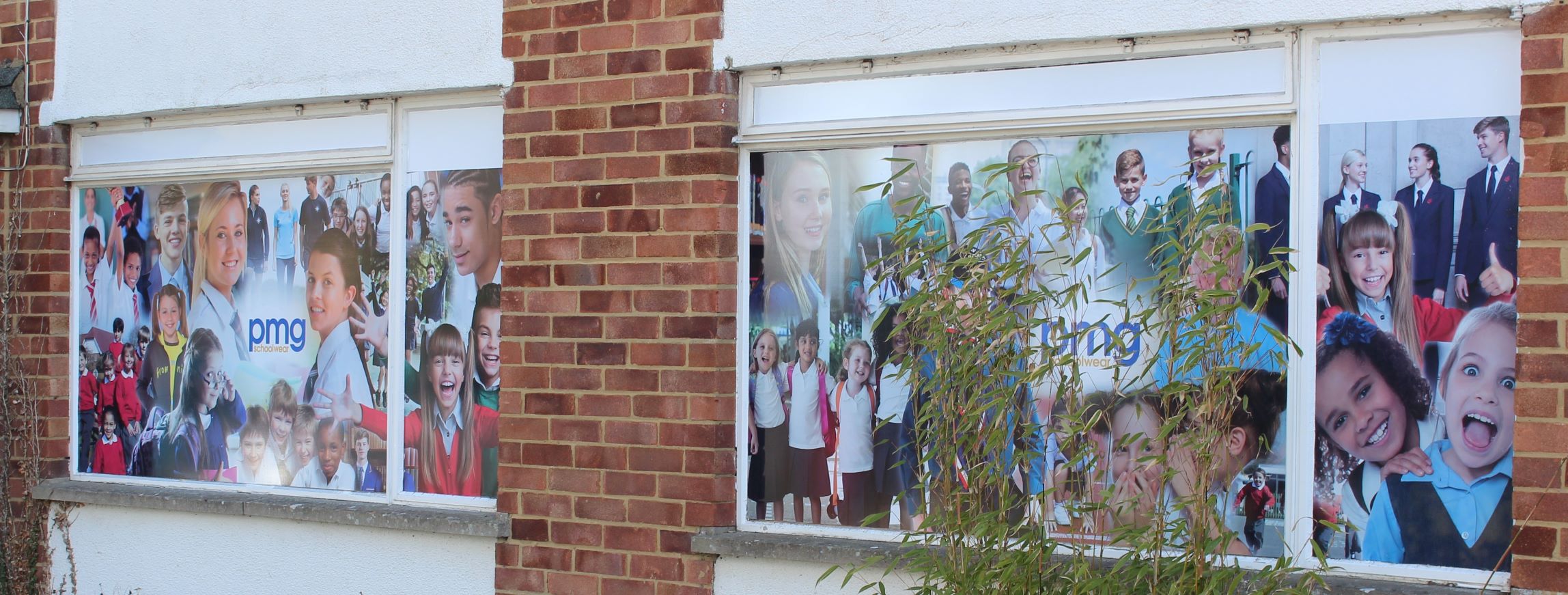 Printed Window Graphics